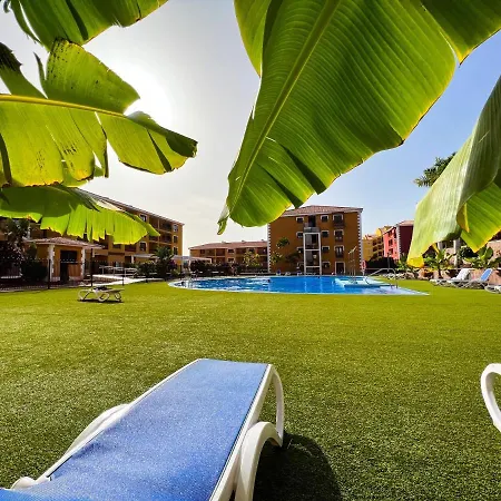 Beautiful 1 Bedroom In Mar, Pm101 Apartamento Palm-mar